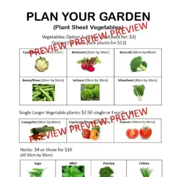 Math Project: School Garden using Math and Science.